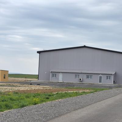 Hangar 50